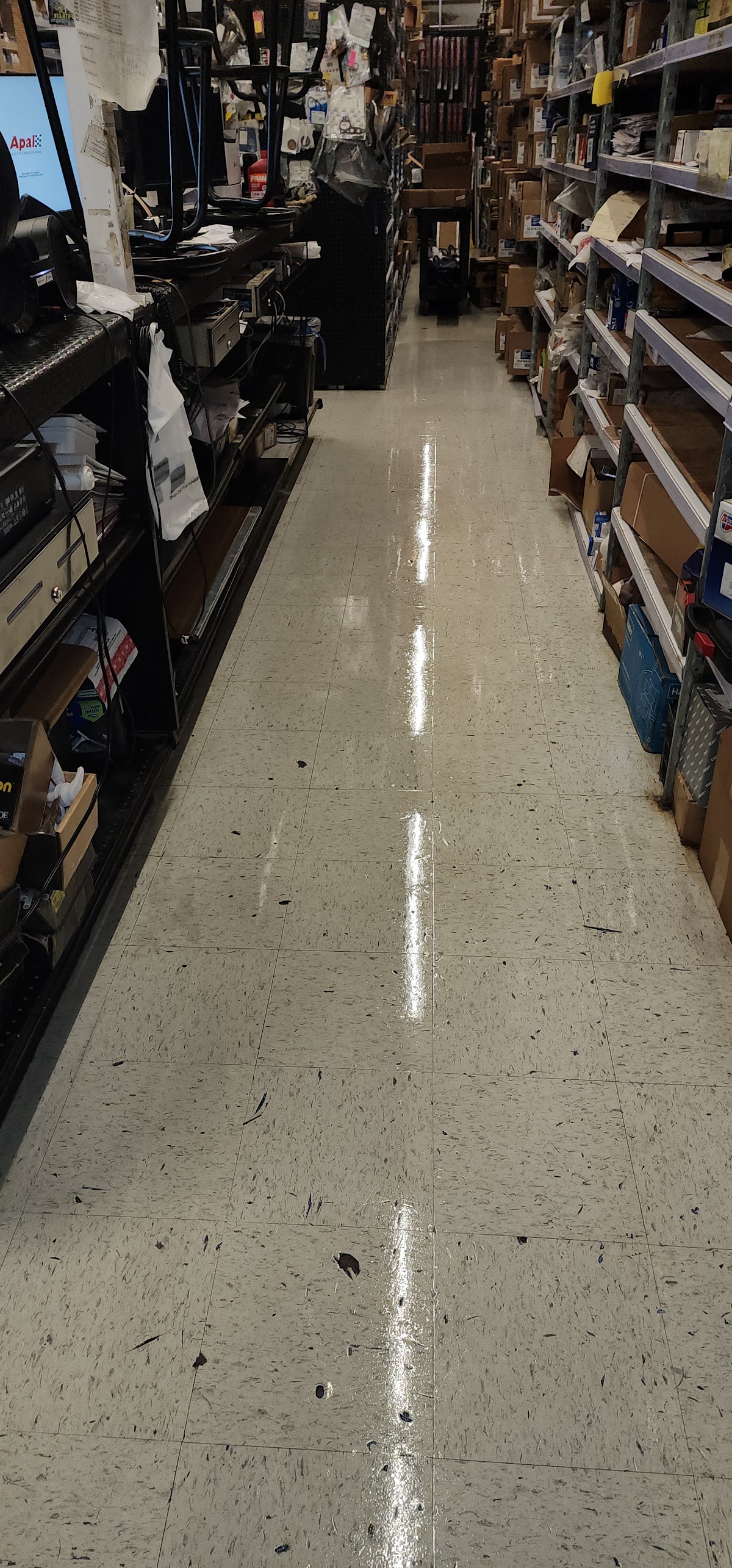 Professional home cleaning service in Trinity FL