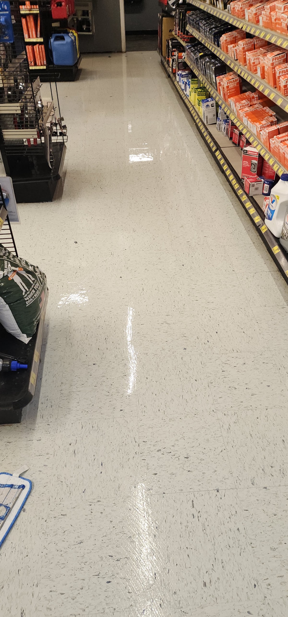 Professional home cleaning service in Riverview FL