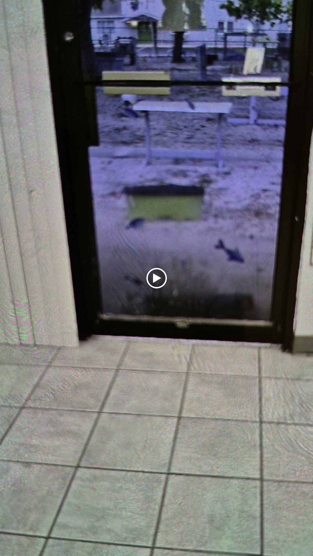 Deep cleaning service in Pinellas County FL