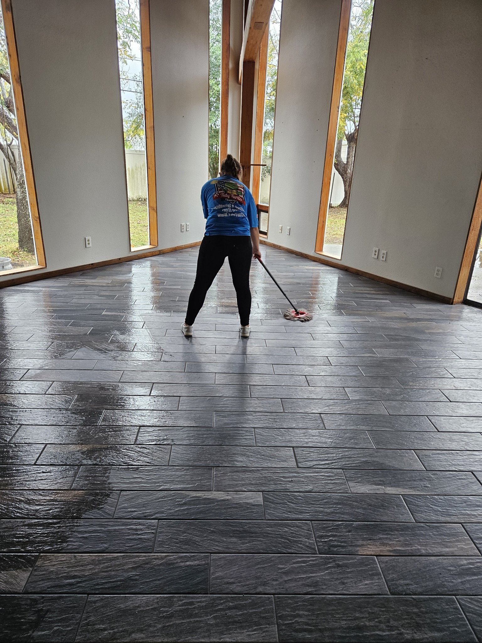 Move In / Move Out Cleaning